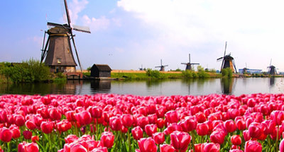 La temporada de los tulipanes en Holanda y Canadá | Le Boat